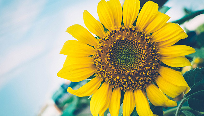 Celebrating Physiotherapy in May!