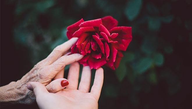 The power of people and communities:  Creating a movement in end of life care  